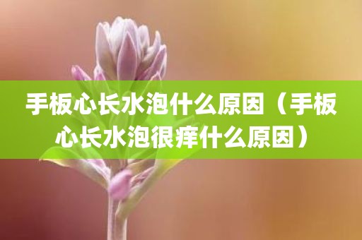 手板心长水泡什么原因（手板心长水泡很痒什么原因）
