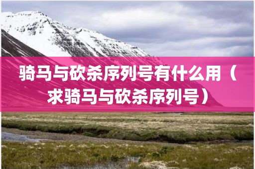 骑马与砍杀序列号有什么用（求骑马与砍杀序列号）
