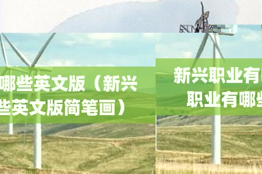 新兴职业有哪些英文版（新兴职业有哪些英文版简笔画）