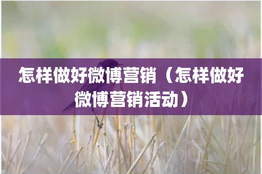 怎样做好微博营销（怎样做好微博营销活动）
