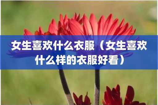 女生喜欢什么衣服（女生喜欢什么样的衣服好看）