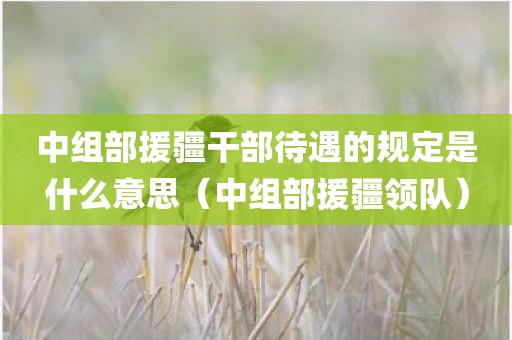 中组部援疆干部待遇的规定是什么意思(中组部援疆领队)