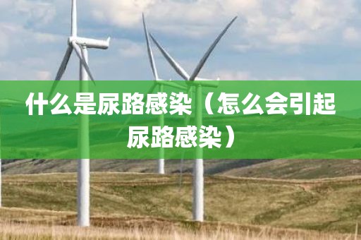 什么是尿路感染(怎么会引起尿路感染)