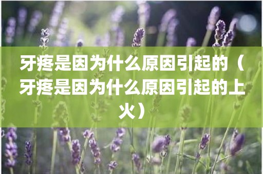 牙疼是因为什么原因引起的（牙疼是因为什么原因引起的上火）