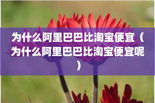 为什么阿里巴巴比淘宝便宜（为什么阿里巴巴比淘宝便宜呢）