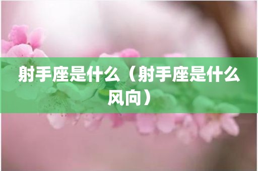 射手座是什么（射手座是什么风向）