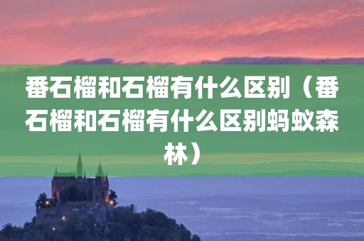 番石榴和石榴有什么区别（番石榴和石榴有什么区别蚂蚁森林）