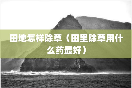 田地怎样除草（田里除草用什么药最好）