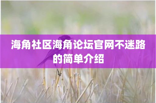 海角社区海角论坛官网不迷路的简单介绍