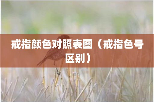 戒指颜色对照表图（戒指色号区别）