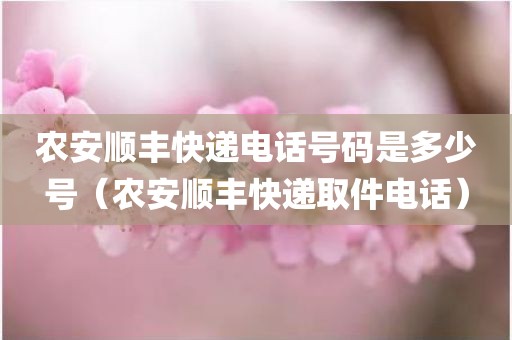 农安顺丰快递电话号码是多少号（农安顺丰快递取件电话）