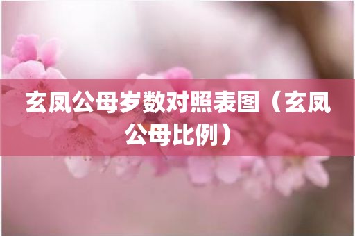 玄凤公母岁数对照表图（玄凤公母比例）
