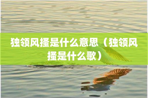 独领风搔是什么意思（独领风搔是什么歌）
