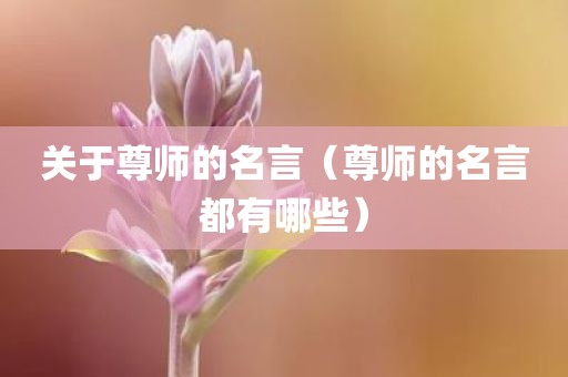关于尊师的名言(尊师的名言都有哪些)