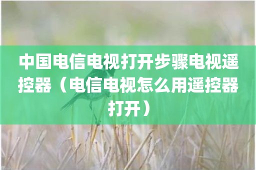 中国电信电视打开步骤电视遥控器（电信电视怎么用遥控器打开）
