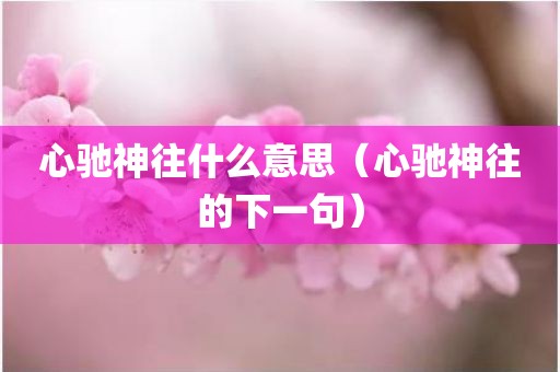 心驰神往什么意思（心驰神往的下一句）