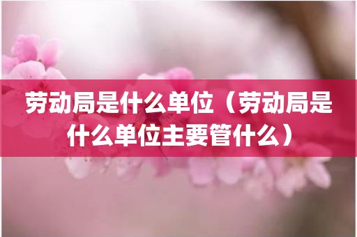 劳动局是什么单位（劳动局是什么单位主要管什么）