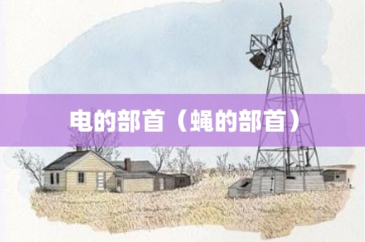 电的部首（蝇的部首）