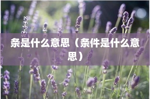 条是什么意思（条件是什么意思）