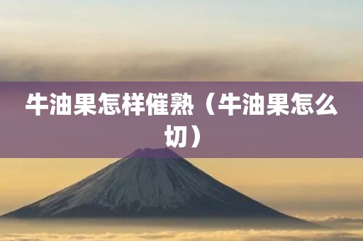 牛油果怎样催熟（牛油果怎么切）