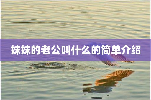 妹妹的老公叫什么的简单介绍