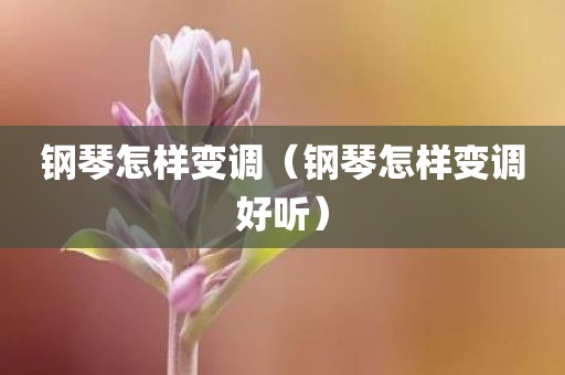 钢琴怎样变调（钢琴怎样变调好听）
