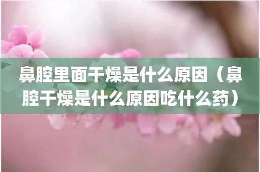 鼻腔里面干燥是什么原因（鼻腔干燥是什么原因吃什么药）
