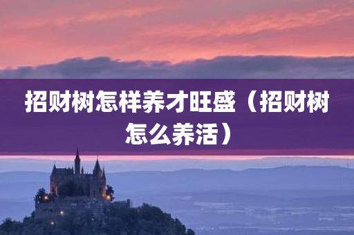 招财树怎样养才旺盛（招财树怎么养活）