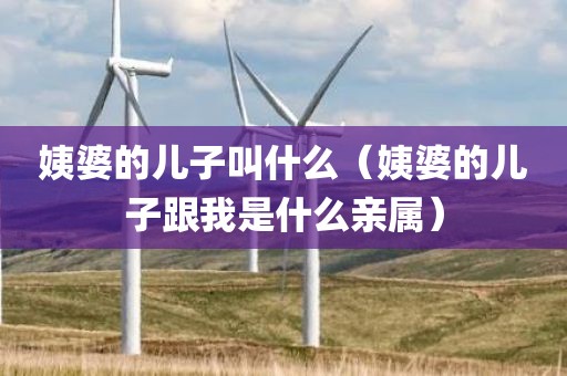 姨婆的儿子叫什么（姨婆的儿子跟我是什么亲属）