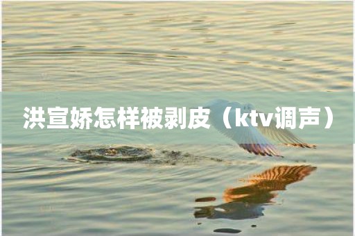 洪宣娇怎样被剥皮（ktv调声）