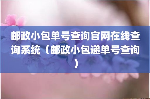 邮政小包单号查询官网在线查询系统（邮政小包递单号查询）