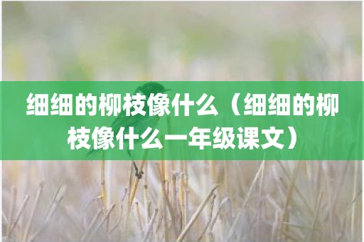 细细的柳枝像什么（细细的柳枝像什么一年级课文）