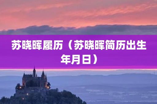 苏晓晖履历（苏晓晖简历出生年月日）