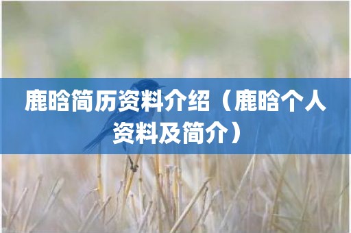 鹿晗简历资料介绍（鹿晗个人资料及简介）