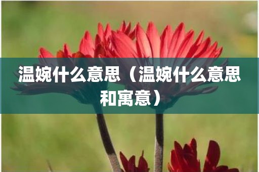 温婉什么意思（温婉什么意思和寓意）