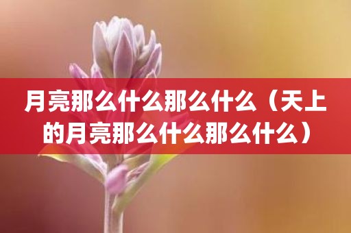 月亮那么什么那么什么（天上的月亮那么什么那么什么）