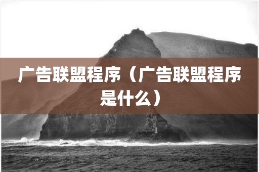 广告联盟程序（广告联盟程序是什么）