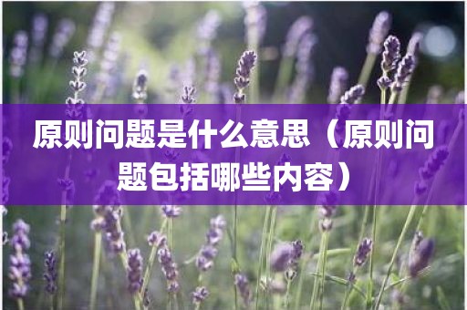 原则问题是什么意思（原则问题包括哪些内容）