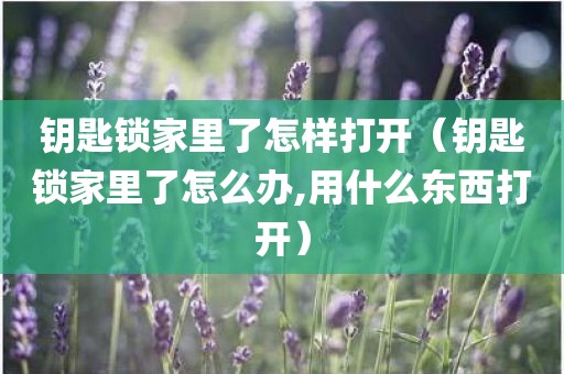 钥匙锁家里了怎样打开（钥匙锁家里了怎么办,用什么东西打开）