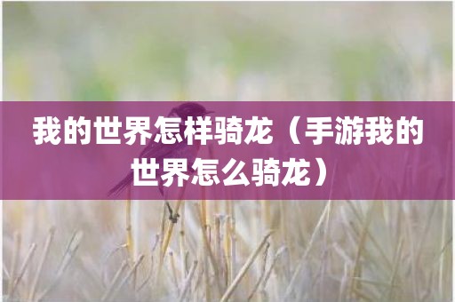 我的世界怎样骑龙（手游我的世界怎么骑龙）