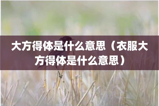 大方得体是什么意思（衣服大方得体是什么意思）