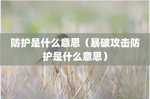 防护是什么意思（暴破攻击防护是什么意思）