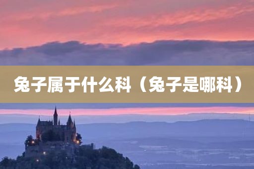 兔子属于什么科(兔子是哪科)