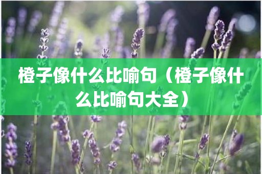 橙子像什么比喻句(橙子像什么比喻句大全)