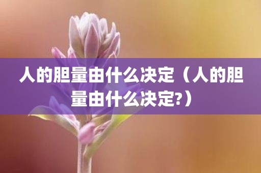人的胆量由什么决定（人的胆量由什么决定?）