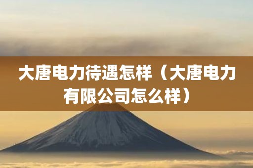 大唐电力待遇怎样（大唐电力有限公司怎么样）