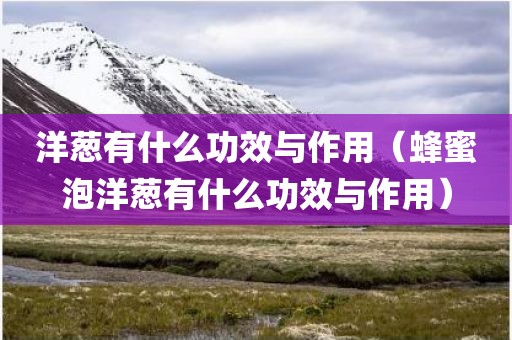 洋葱有什么功效与作用（蜂蜜泡洋葱有什么功效与作用）