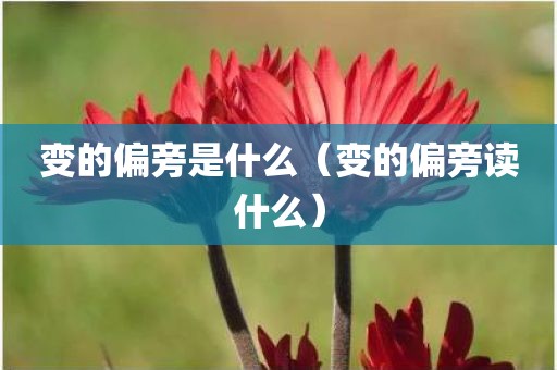 变的偏旁是什么（变的偏旁读什么）