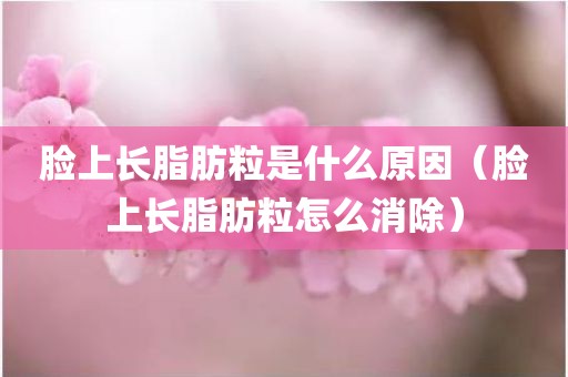 脸上长脂肪粒是什么原因（脸上长脂肪粒怎么消除）