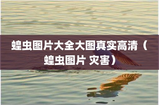 蝗虫图片大全大图真实高清（蝗虫图片 灾害）